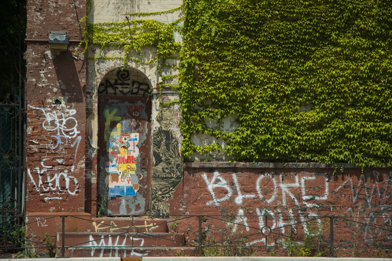 Graffiti and ivy cover a wall.