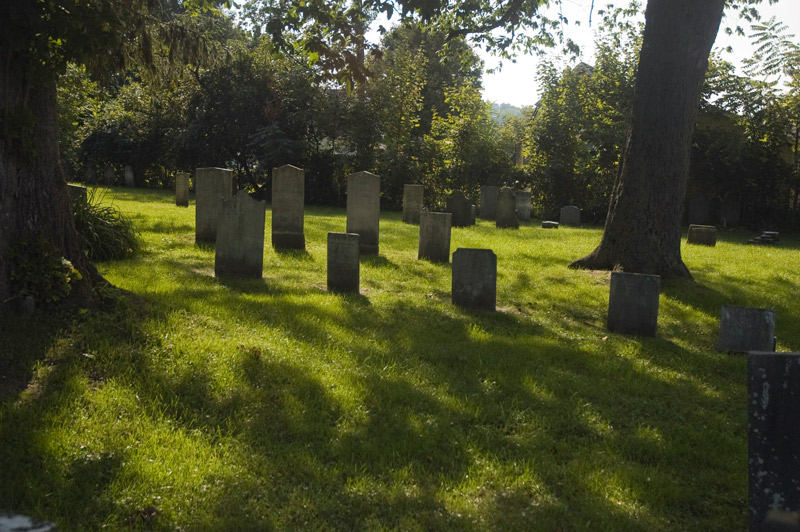 Silhouettes of tombstones, among trees.