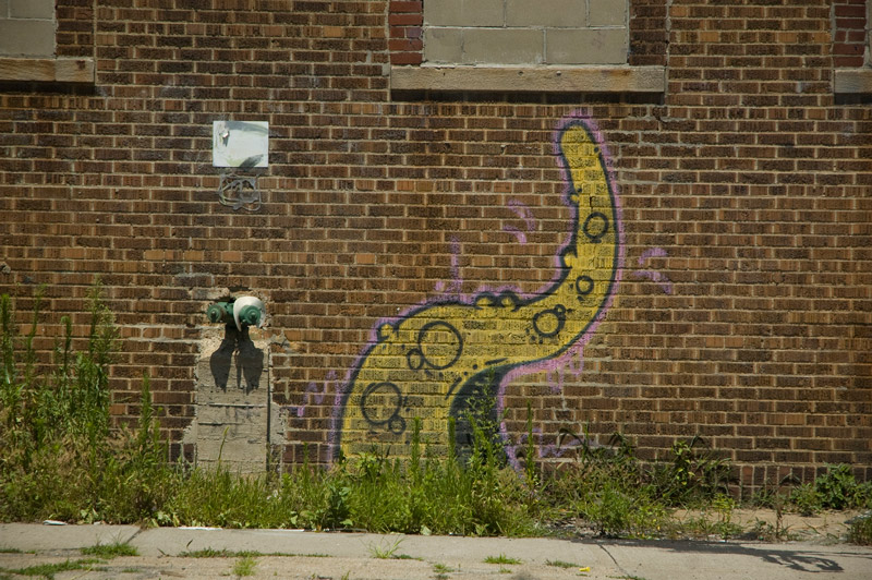 graffiti of one arm of an octopus, on a brick wall.