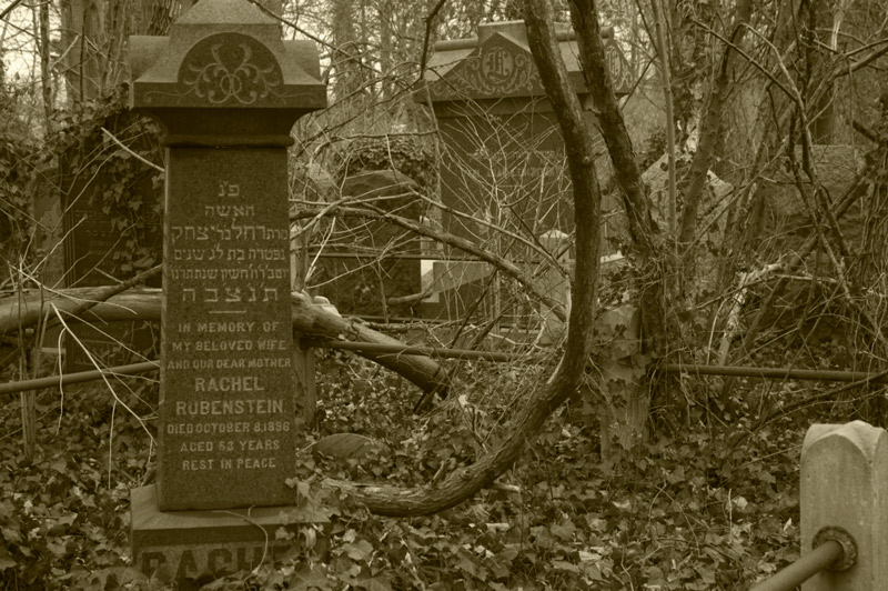 A tombstone among overgrown brush and weeds.