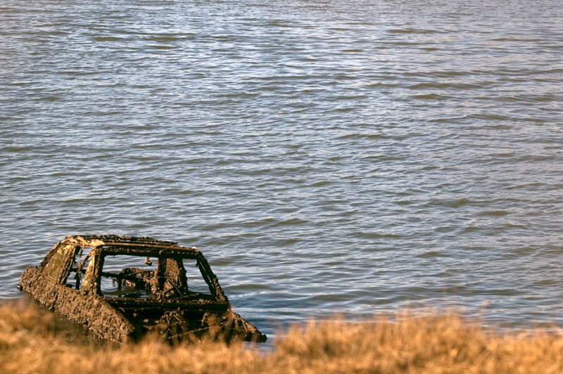 An abandoned car, covered in algae and muck, in water.