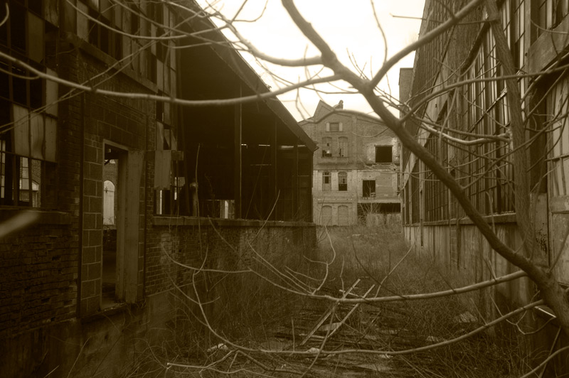 Abandoned buildings with broken glass and overgrowth.