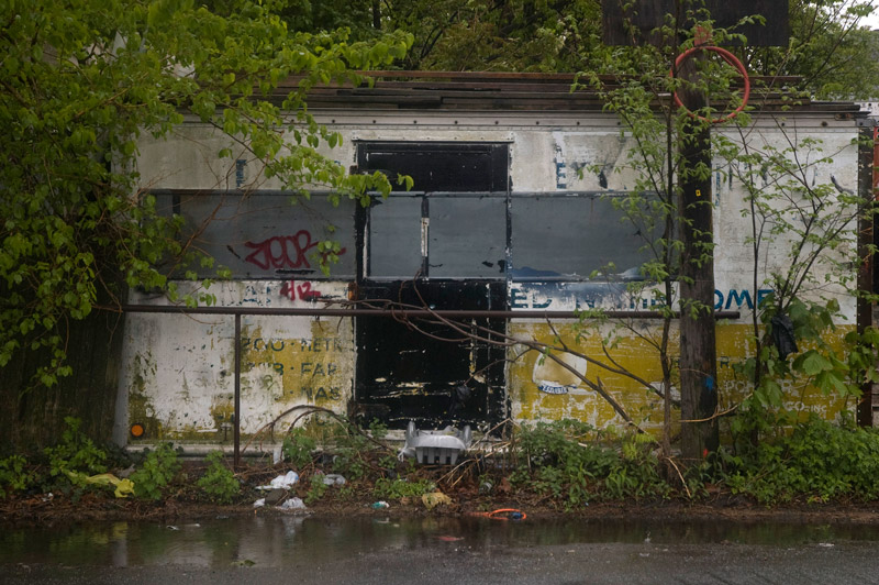 An abandoned truck sits among trees