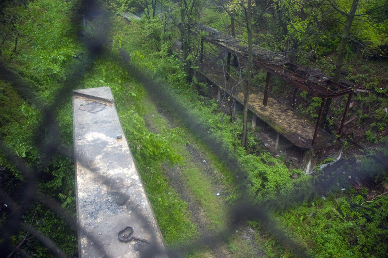 An abandoned train platform, rotting in the woods