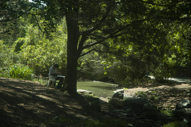 A woman painting a landscape under the shade of a tree