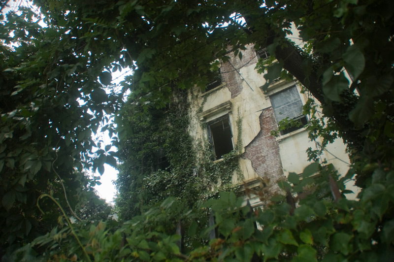 A decaying building, hidden by trees.