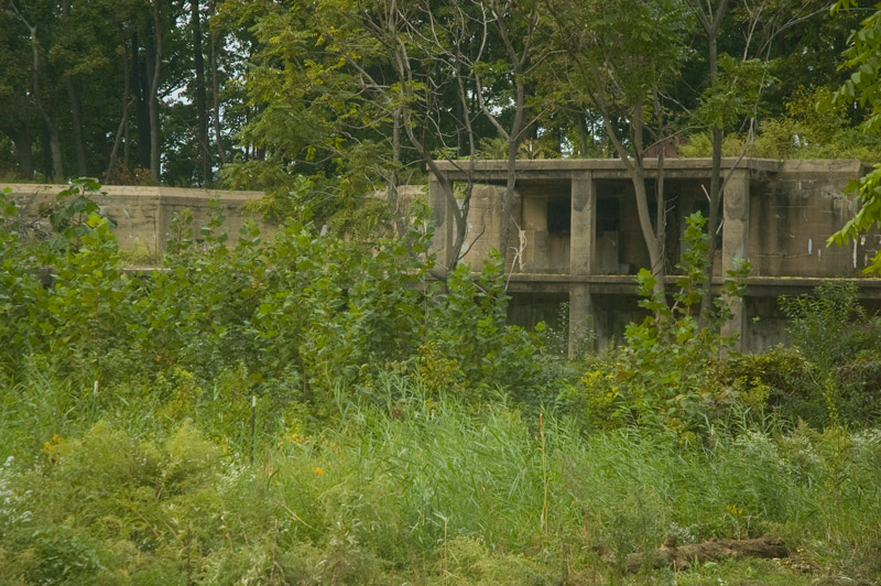 Old concrete structures, hidden by bushes and trees.