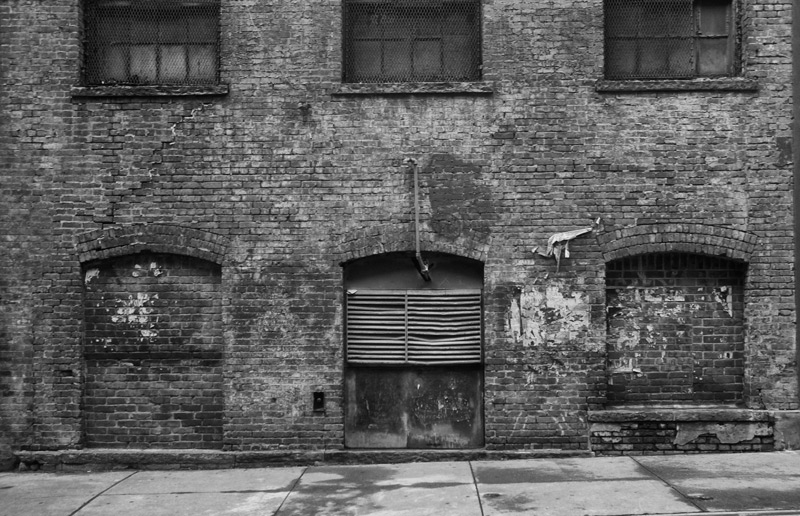 An old industrial building and its windows.