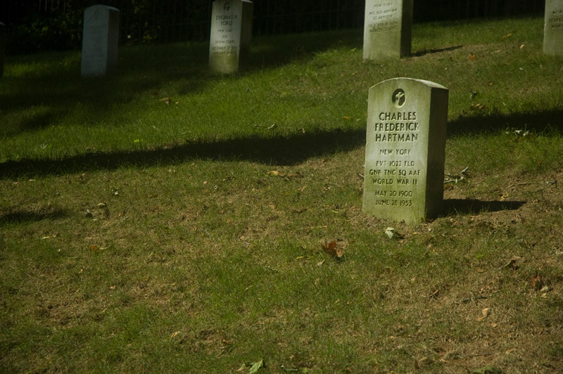 The tombstone of a veteran