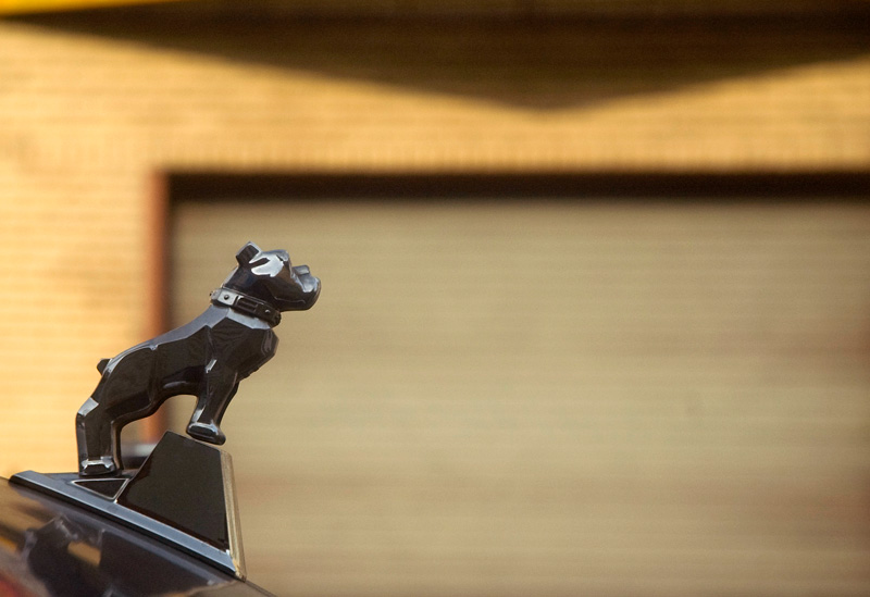 A chrome hood ornament of a bulldog