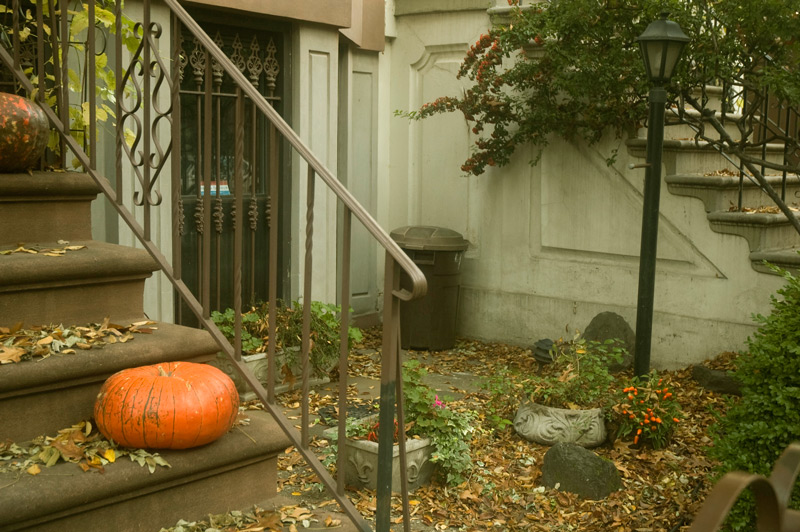 A pumpkin on the steps of a stoop