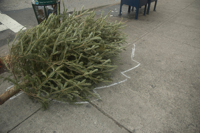 Chalk lines around a Christmas tree on a sidewalk.