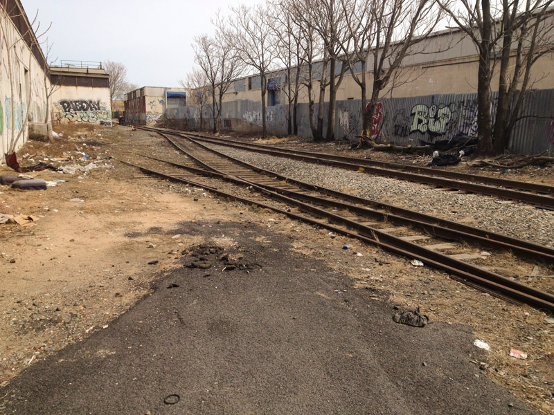 Train tracks running past graffiti