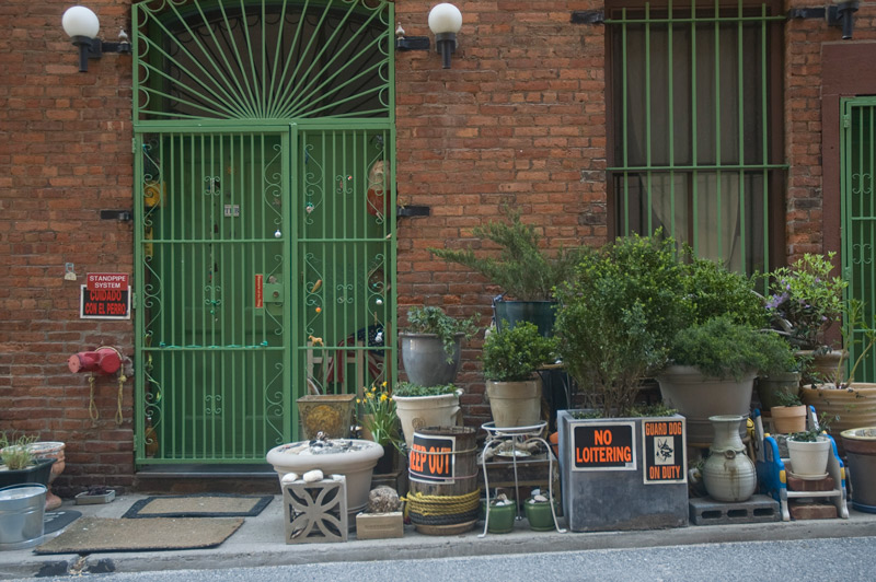 Entrance to a home, with many planters