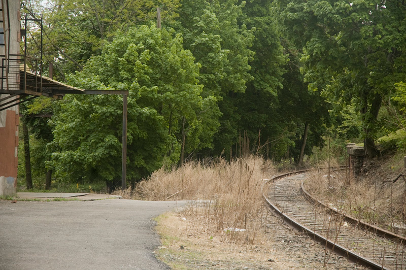 Curving railroad tracks surrounded by weeds