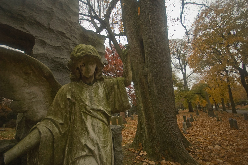 A statue of an angel in a cemetery with autumn leaves.