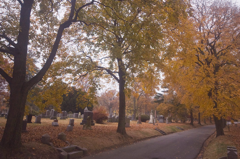 Road in a cemetery in autumn.