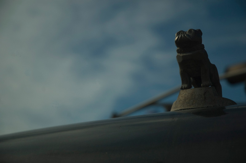 A Mack Truck bulldog hood ornament, against a darkening sky.