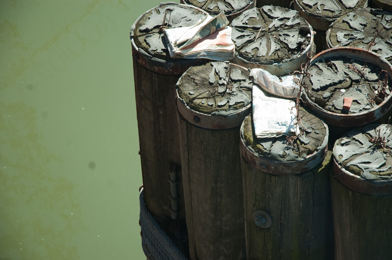 Pilings in a canal, with discarded paper.