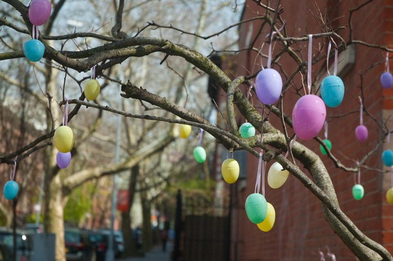 Plastic Easter eggs hanging from a tree.