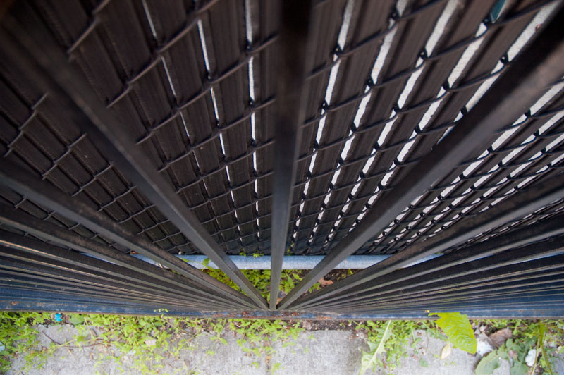 Bars of a fence.