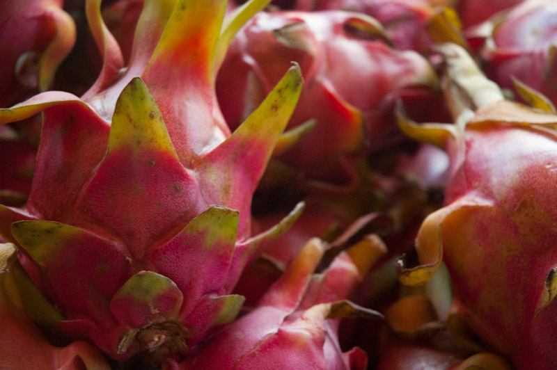 Dragon Fruit.