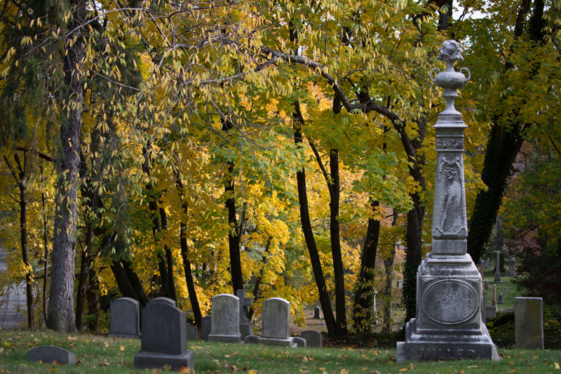 Graves surrounded by trees with autumn leaves.