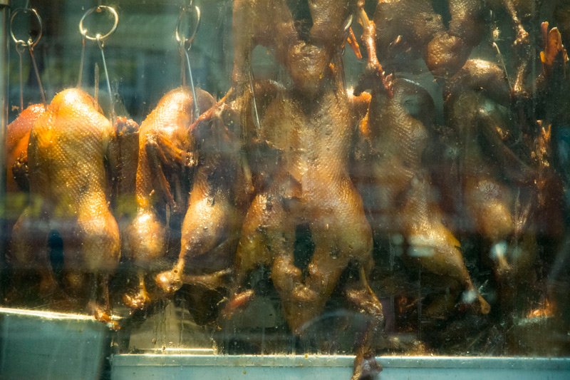 Prepared ducks hanging in a restaurant window.