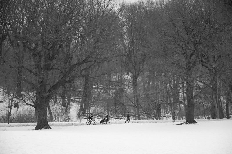 People use a road across a snowy field in Prospect Park.