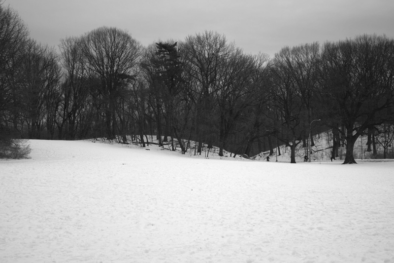 A snow-covered lawn, with a line of trees.