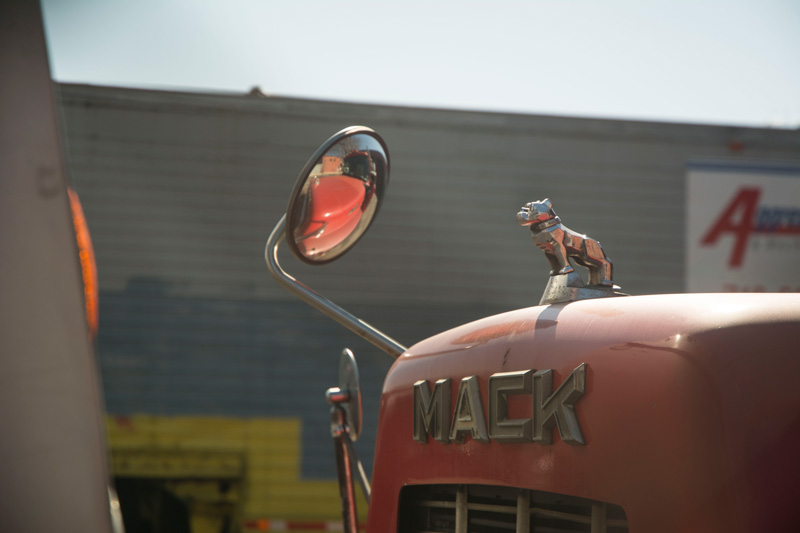 A Mack Truck hood ornament, seemingly staring into a mirror.