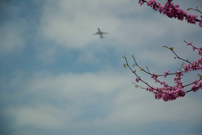 A jet passing over, high in the sky