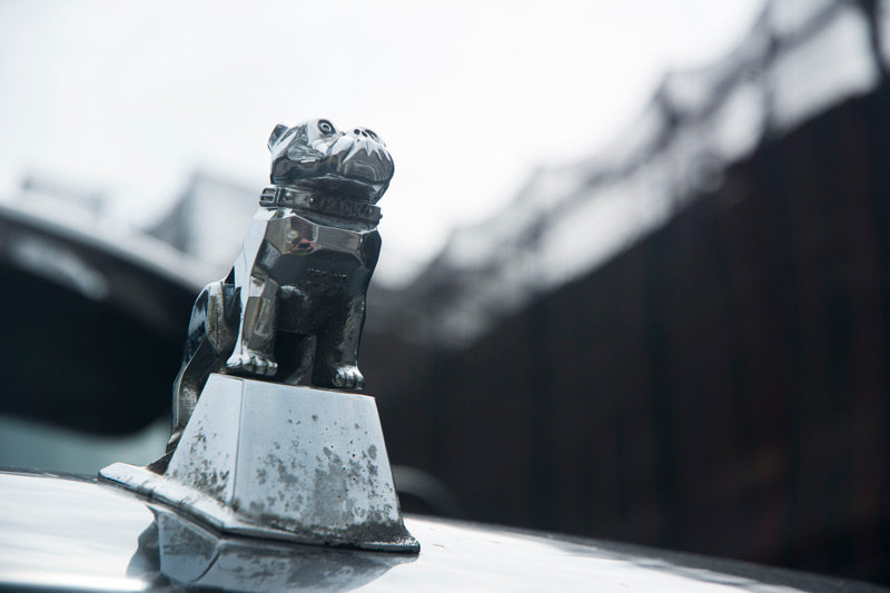 A chrome Mack Truck hood ornament