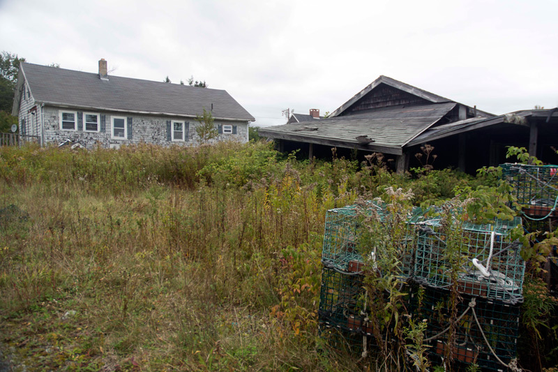 Old lobster traps, in bushes by a collapsing boat house.