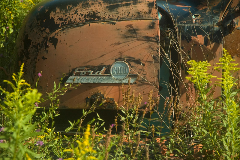 The rusting hood of ana abandoned Ford C-800 Truck.
