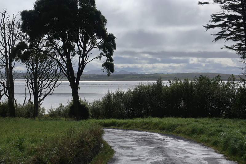 Drumcliff Bay with a tree in silhouette and mountainous terrain.