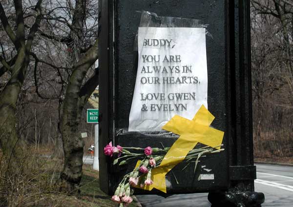 A small sign, with letters
blurred from rain, declares a dog owners loss. Flowers, too.