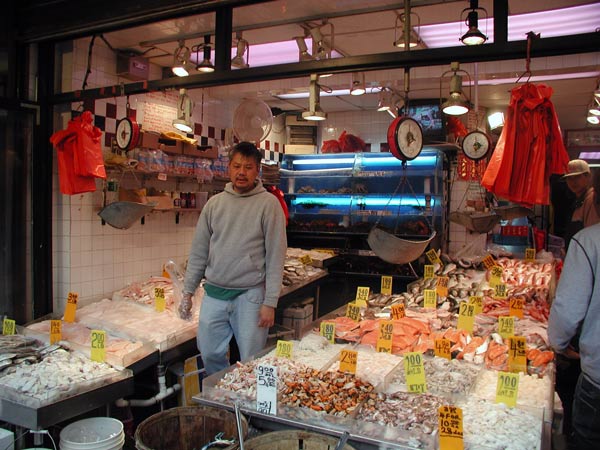 A fish monger stands in an aisle, with tanks
behind him and fish on each side. Scales and red plastic bags
hang from rafters.