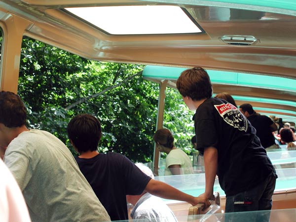 People on a monorail all standing and leaning, to
see an animal below.