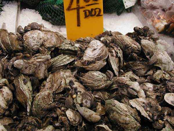 A bin of oysters with a price marker.