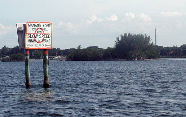 A sign standing in water alerts boats to slow down
for the sake of manatees.