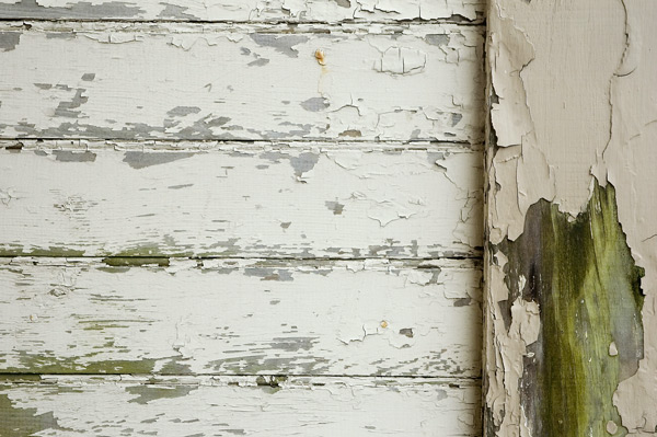 Peeling paint reveals greens and greys