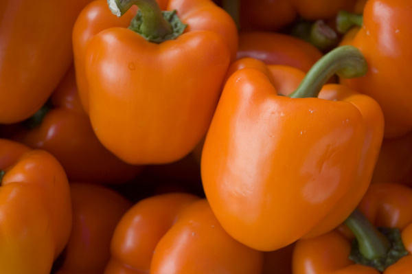 A bin of orange bell peppers