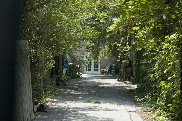 Trees shade a walkway to a pair of French doors.