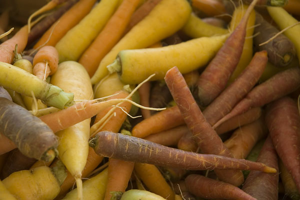 Carrots in many colors.