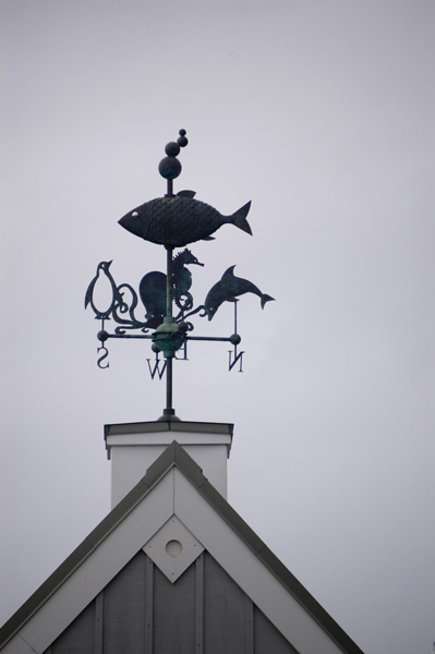 The aquarium's weather vane has oceanic elements.