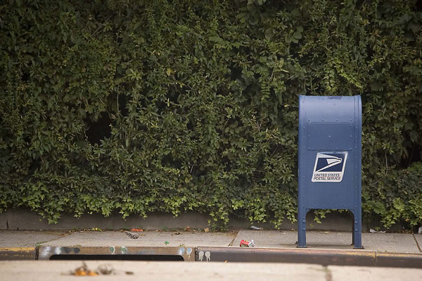 A blue mailbox stands in front of a long, green hedge.