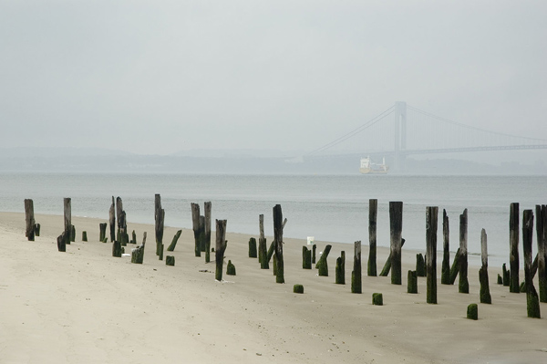 Pilings are all that remain of a pier.