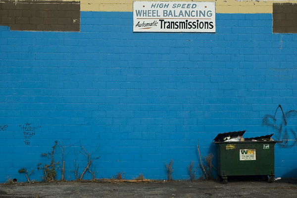 A blue wall of cinder blocks, with a few weeds, and a dumpster.