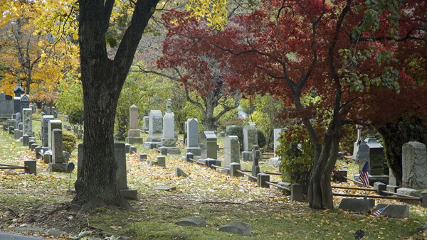 Rows of tombstones are sheltered by trees with purple,
yellow, and orange leaves.